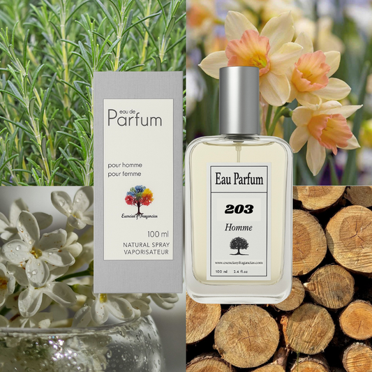 Perfume Masculino 203 - Símil Egoiste Platinum de Chan...