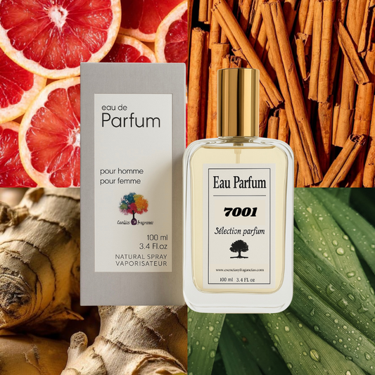 Perfume Nicho 7001 - Símil Absolu Creed Adventus (Masculino)