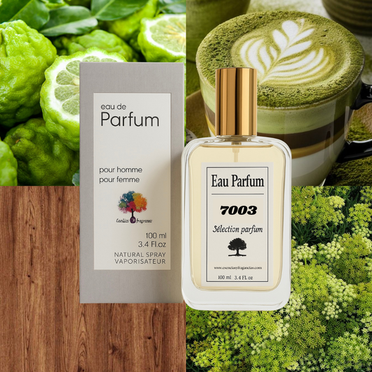 Perfume Nicho 7003 - Símil Aqua Media Cologne Forte Maison Francis Kukdjian (Unisex)