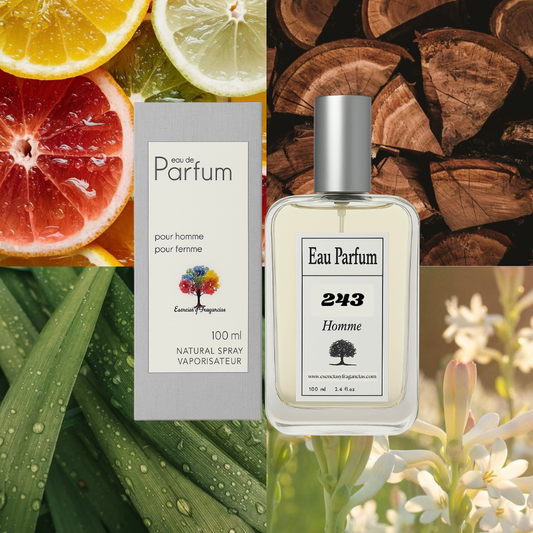 Perfume Homem 243 - Simile K da D&G