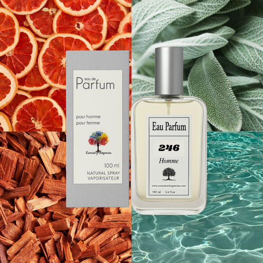 Perfume Masculino 246 - Simile CH Men Sport by Carolina H