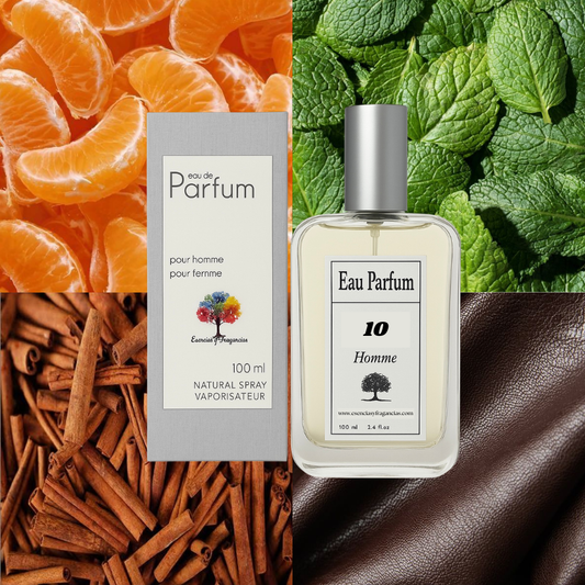 Perfume Masculino 10 - Símil 1 Million de Paco R