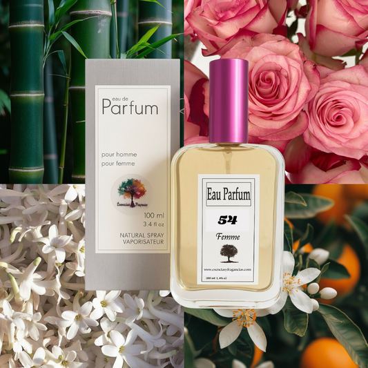 Perfume Femenino 54 - Símil Dior Addict de Christian D