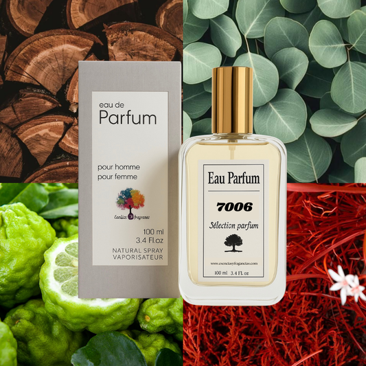 Perfume Nicho 7006 - Símil Torino 22 de Xerjoff (Unisex)