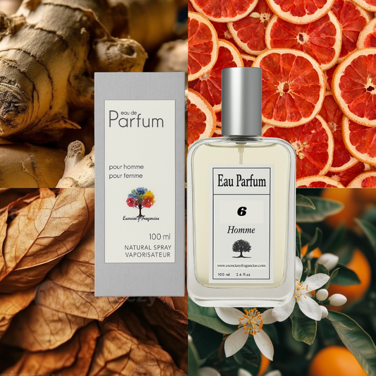Perfume Masculino 6 - Simile The One For Men da D&G