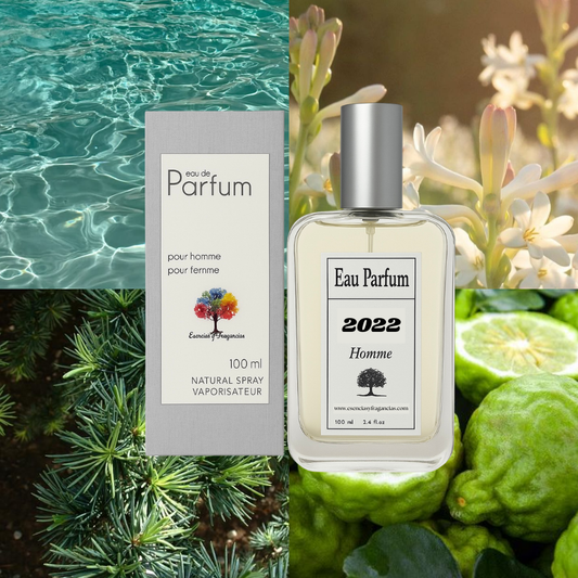 Perfume Masculino 2022 - Símil Acqua Di Gio Profumo de Giorgio A