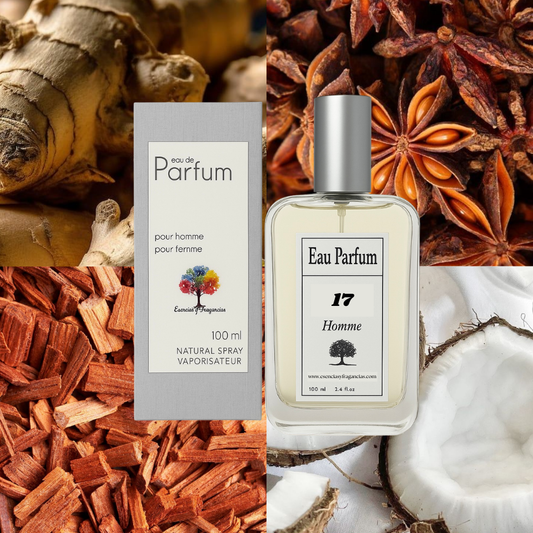 Perfume Masculino 17 - Símil Allure Pour Homme de Chan...