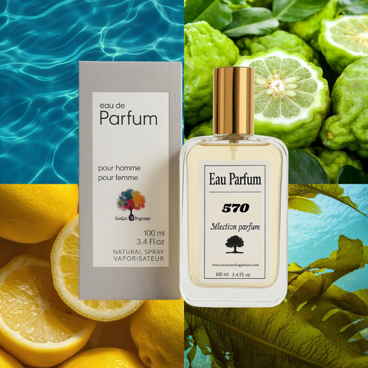 Perfume Nicho 570 - Símil Megamare Orto Parisi (Unisex)