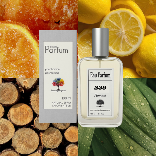 Perfume Masculino 239 - Man Wood Simile da Bulga...