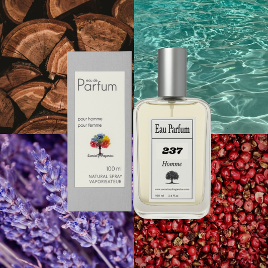 Perfume Homem 237 - Simile Montblanc Legend Spirit