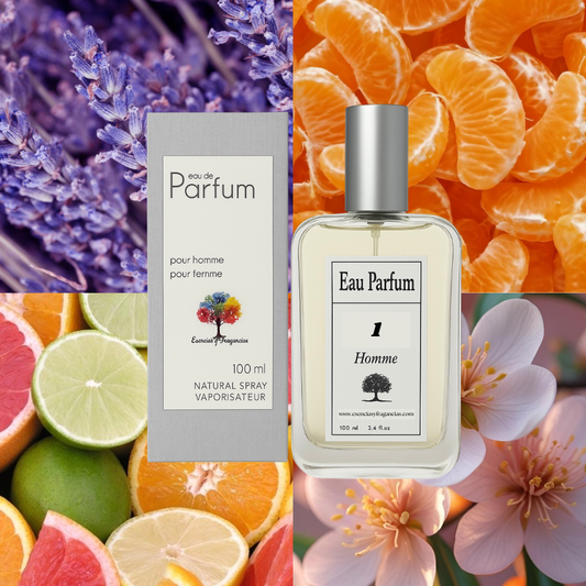 Perfume Masculino 1 - Símil Pour Homme de D&G