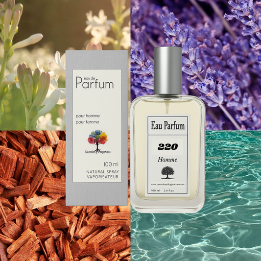 Perfume Masculino 220 - Símil D&G Pour Homme Intenso de D&G