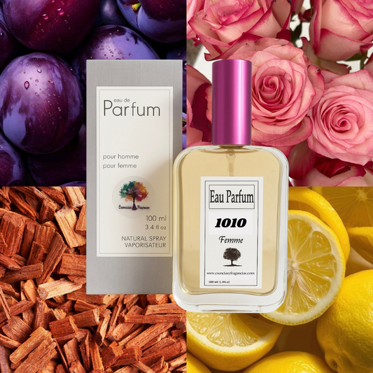 Perfume Femenino 1010 - Símil Nomade de Chloe