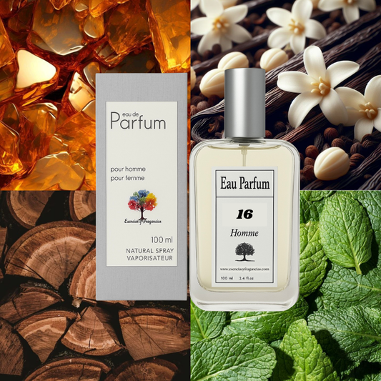 Perfume Masculino 16 - Símil Ultraviolet de Paco R