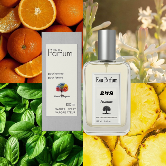Perfume Homem 249 - Simile L'Homme da Rochas