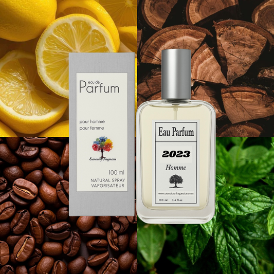 Perfume Masculino 2023 - Símil Devotion Pour Homme de D&G