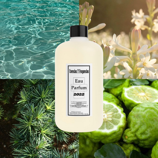 Perfume Masculino 2022 - Símil Acqua Di Gio Profumo de Giorgio A