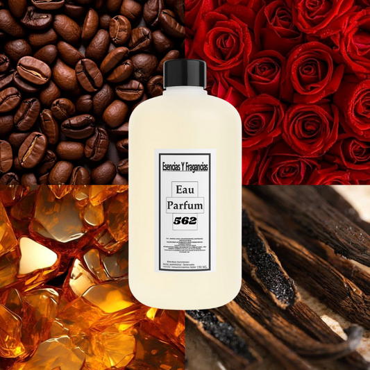 Perfume Nicho 562 - Símil Intense Café de Montale (Unisex)