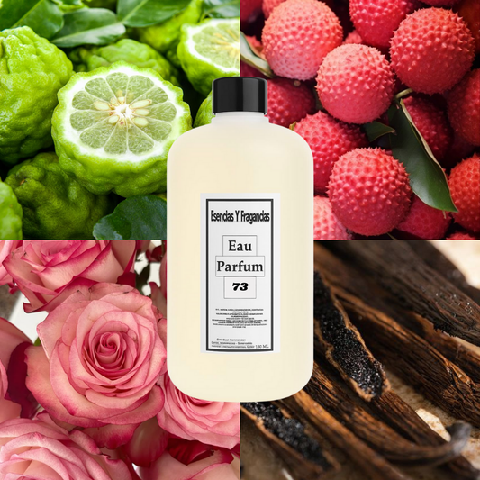 Perfume Femenino 73 - Símil Coco Mademoiselle Parfum de Chan...