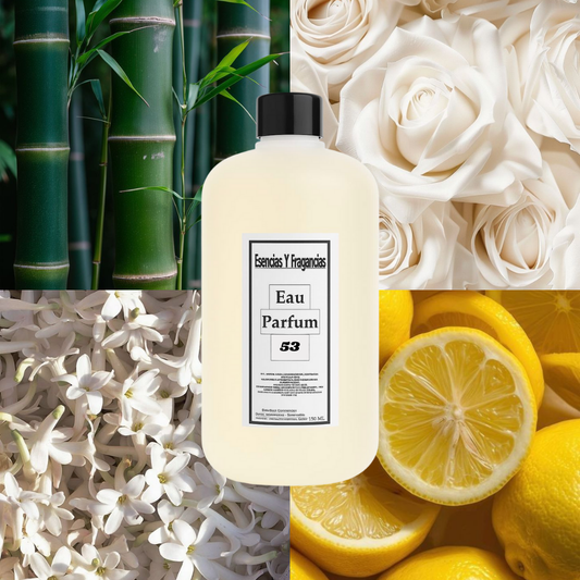 Perfume Femenino 53 - Símil Light Blue de D&G