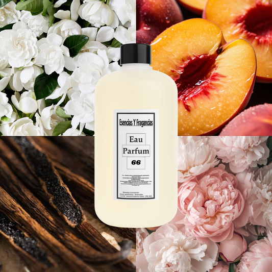 Perfume Femenino 66 - Símil Gucci Rush de Gucci