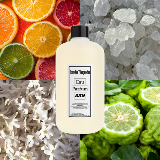 Perfume Nicho 559 - Símil Afternoon Sun de Louis V (Unisex)