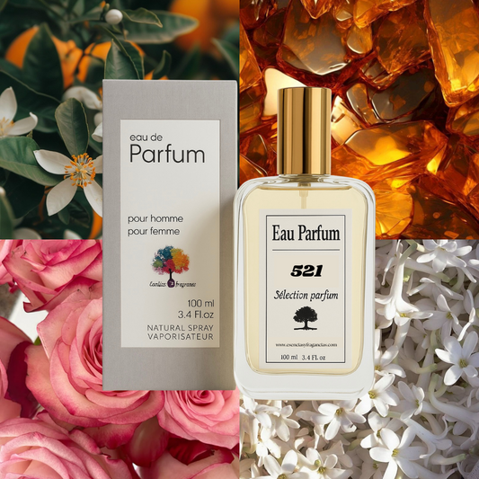 Perfume Nicho 521 - Símil Indian Dream Mancera (Femenino)