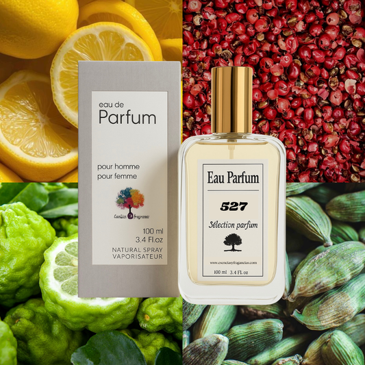 Perfume Nicho 427 - Símil Sur la Route Louis V (Masculino)