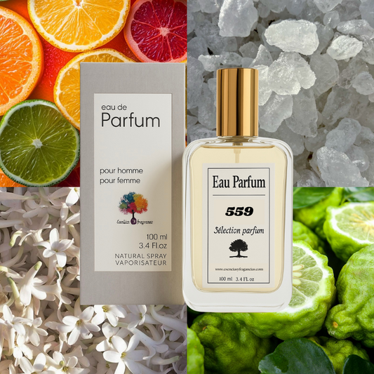 Perfume Nicho 559 - Símil Afternoon Sun de Louis V (Unisex)