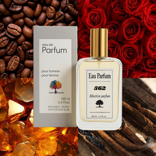 Perfume Nicho 562 - Símil Intense Café de Montale (Unisex)