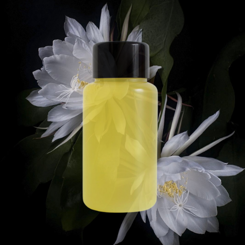 FRAGANCIA DE VELAS DAMA DE NOCHE 55 ML