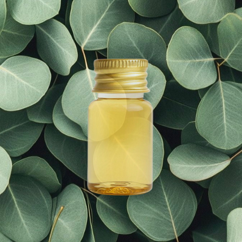 FRAGANCIA DE VELAS EUCALIPTO 10 ML