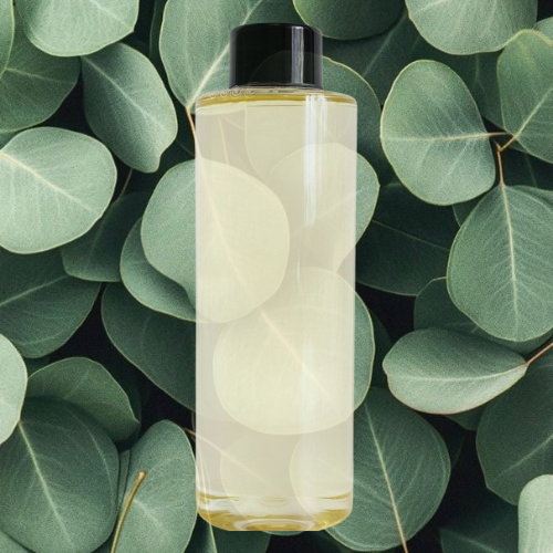 FRAGANCIA DE VELAS EUCALIPTO 265 ML