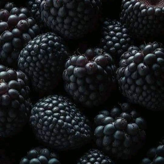 FRAGANCIA VELAS BLACK RASPBERRY AND SUGAR