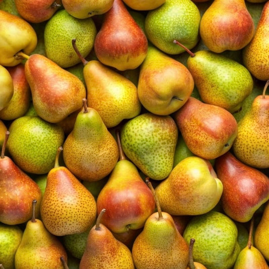 FRAGANCIA VELAS FRENCH PEAR