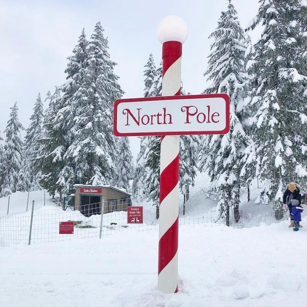 FRAGANCIA VELAS NORTH POLE