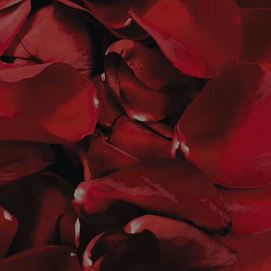 FRAGANCIA VELAS PÉTALOS DE ROSAS