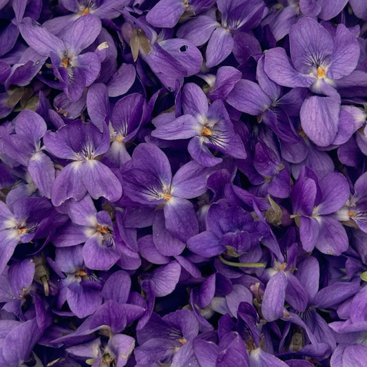 FRAGANCIA VELAS SMOOTH VIOLET