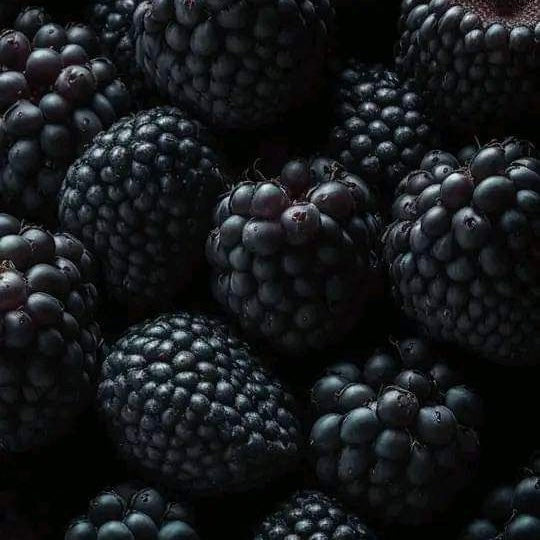 Fragancia Black Raspberry Sugar (Liquidación) - 265 ml