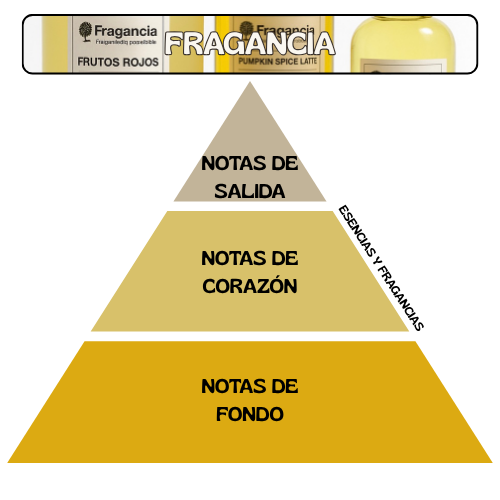 PIRÁMIDES OLFATIVAS (DESCARGAS)