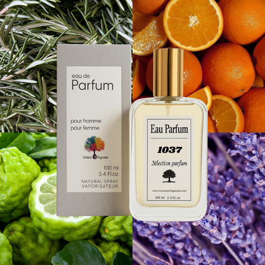 Perfume Nicho 1037 - Símil Neroli Portofino de Tom F (Unisex)
