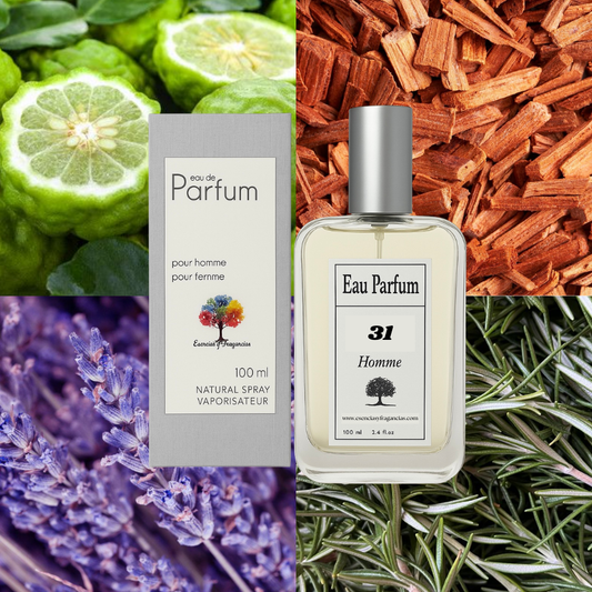 Perfume Masculino 31 - Símil Agua fresca de Adolfo Dom...