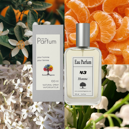 Perfume Masculino 43 - Símil Sculpture Pour Homme de Nikos