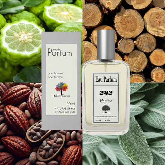 Perfume Masculino 242 - Símil Bad Boy de Carolina H