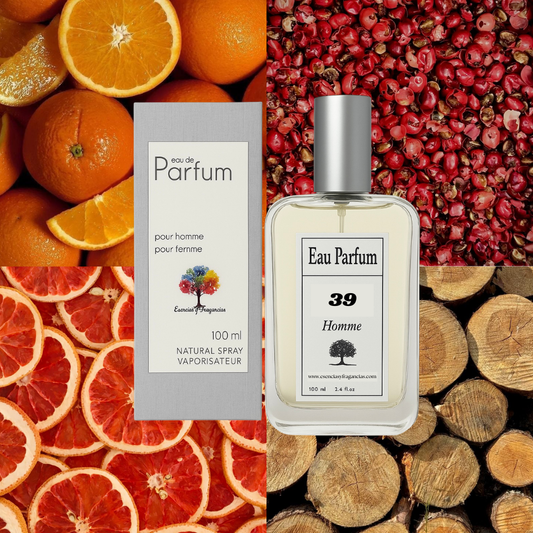 Perfume Masculino 39 - Símil Terre d'Hermes