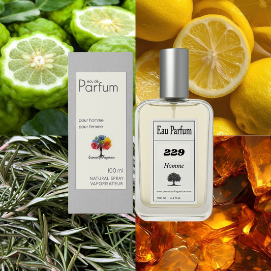 Perfume Masculino 229 - Símil Eau Sauvage de Christian D