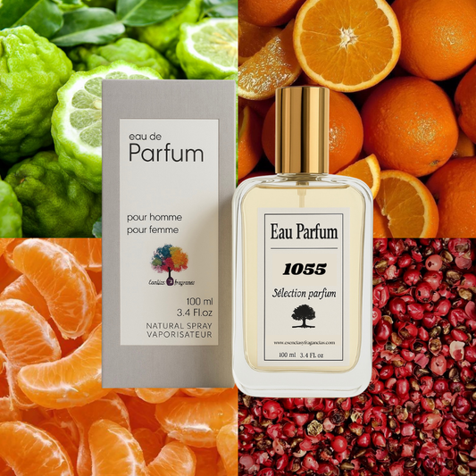 Perfume Nicho 1055 - Símil Météore de Louis V (Unisex)