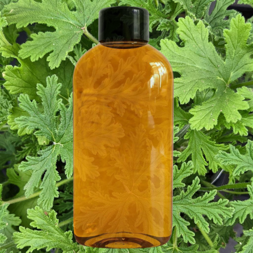 Fragancia Citronela Repelente