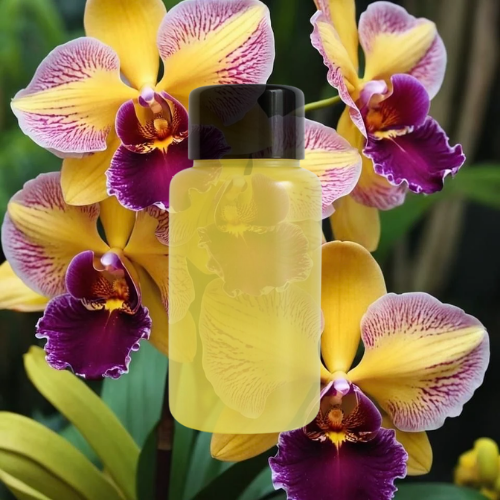 FRAGANCIA DE VELAS ORQUIDEA SALVAJE 55 ML