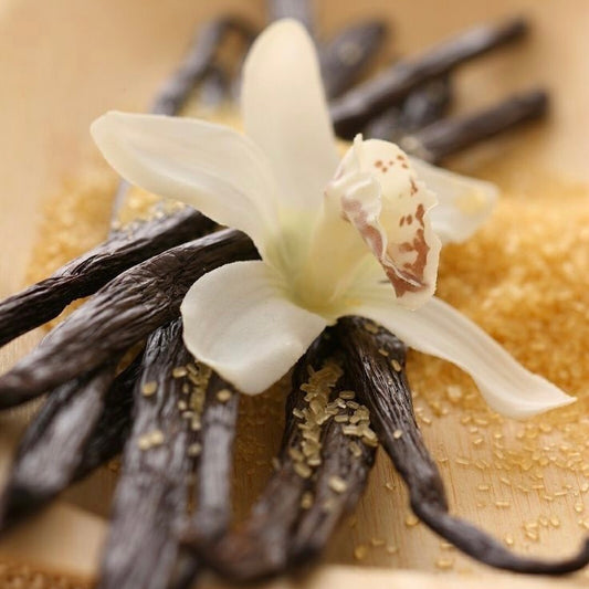 Fragancia Azúcar y Vainilla